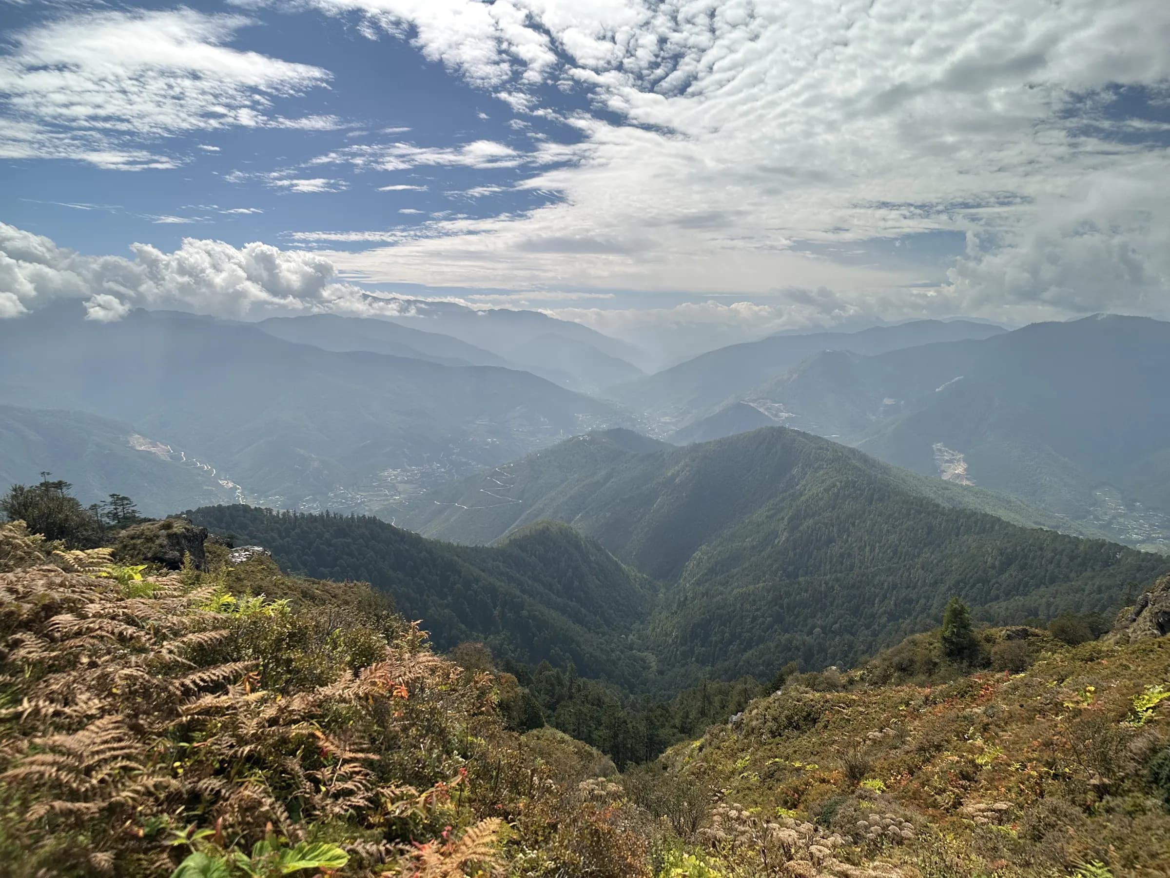 The view from a ridge above a Bhutanese valley — forested spurs falling away to a river town, hazy Himalayan ranges behind and autumn ferns in the foreground